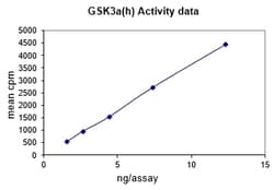 Eurofins DiscoverX GSK3 Protein, Active 250 &mu;g | Buy Online | Eurofins DiscoverX | Fisher Scientific